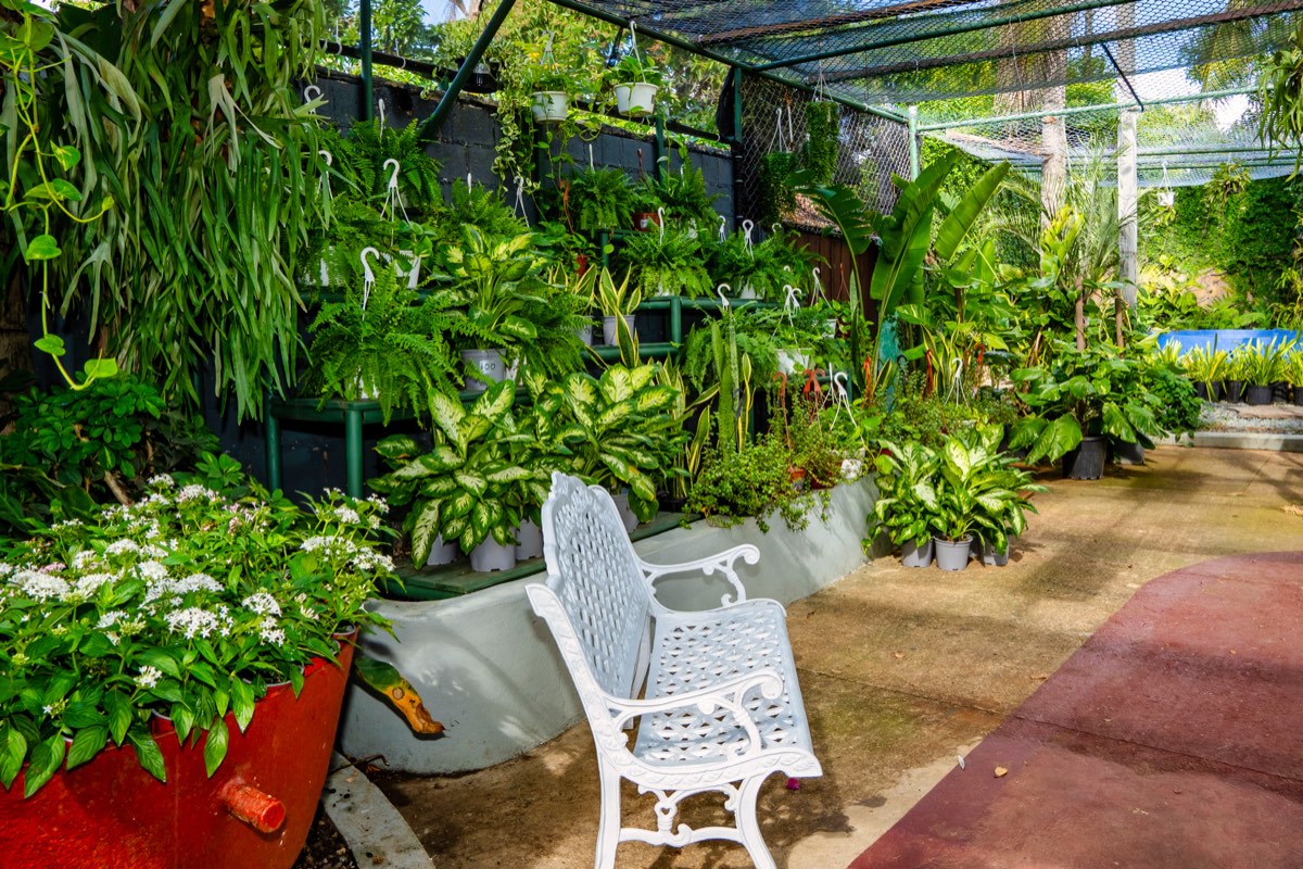Rincón del vivero con banca blanca y plantas colgantes
